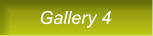 Gallery 4 Gallery 4