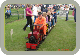 Society Wren at Graves Park